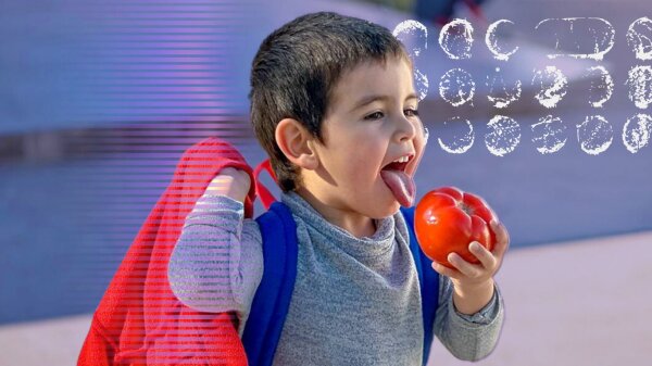 Elige Vivir Sano Coquimbo