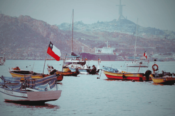 Jibia toneladas a Asia